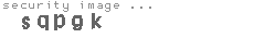 security image