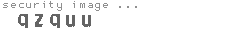 security image