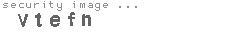 security image