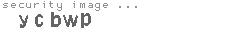 security image