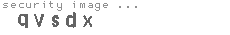 security image