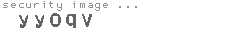 security image