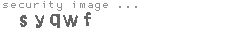 security image