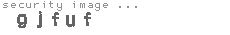 security image