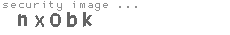 security image