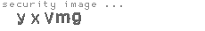 security image