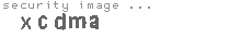 security image