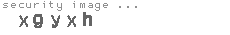 security image