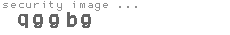 security image