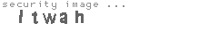 security image