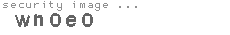 security image