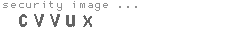 security image