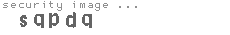 security image
