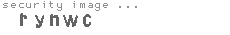 security image