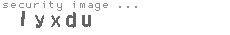 security image