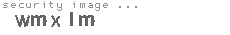security image