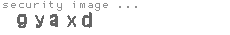 security image