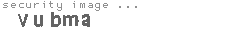 security image