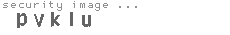 security image