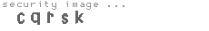 security image