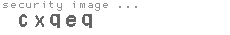 security image