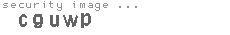 security image