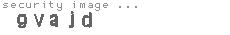 security image