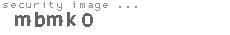 security image