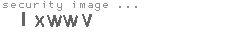 security image