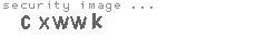 security image