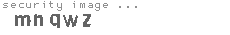 security image
