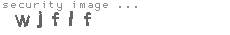 security image