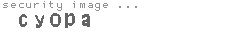 security image