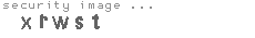 security image