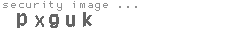security image