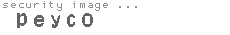 security image