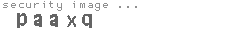security image