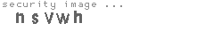 security image