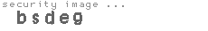 security image
