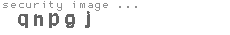 security image