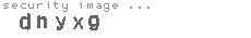 security image