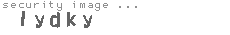 security image