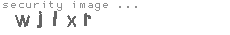 security image
