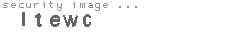 security image