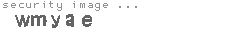 security image