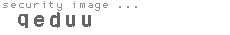 security image