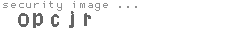 security image