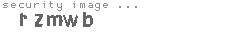 security image