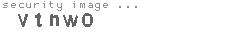 security image
