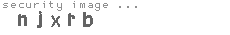 security image